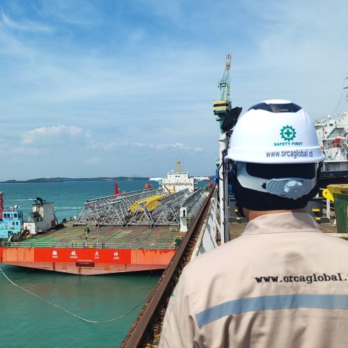 HLV Specialist (7) HLV Specialist (7)